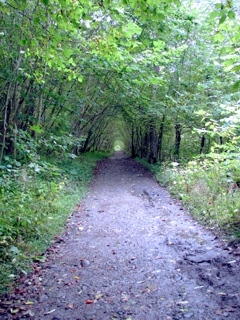 Scottish Walking Trail